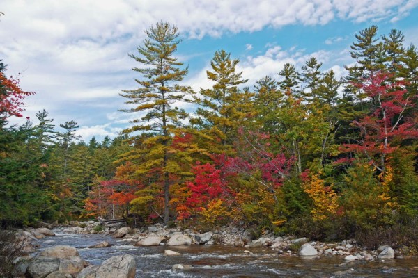 herbst am Fluss - (c) r plock.jpg